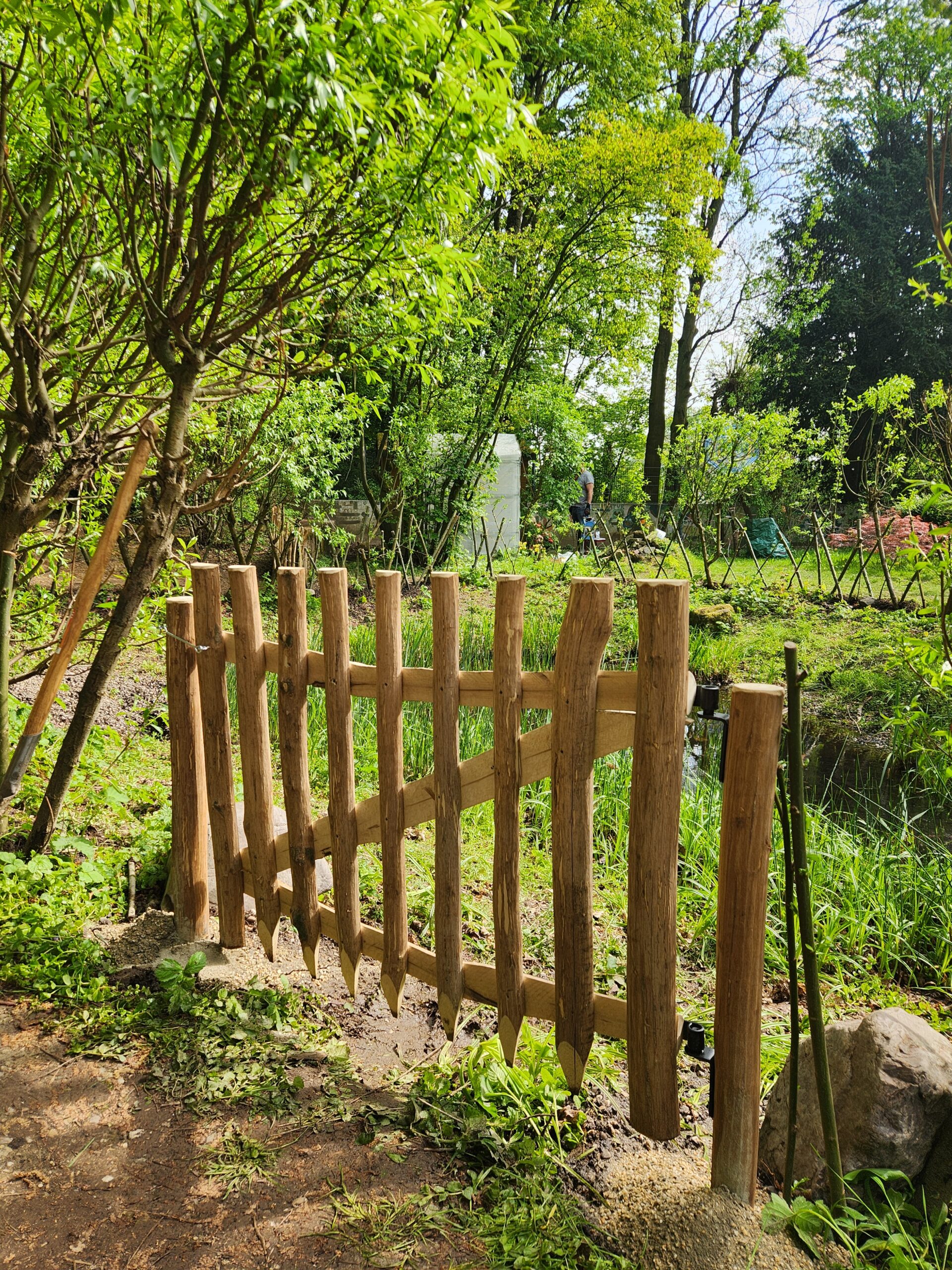 Neuigkeiten aus dem Klimagarten